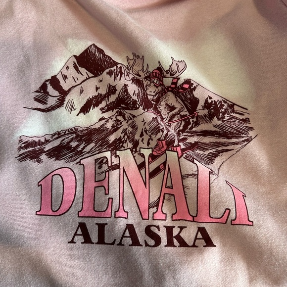 Girls Pink Sweatshirt / Hoodie,, Size XL 14/16, NWoT - Picture 8 of 8